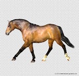 sports%20horse%20milhorse%20001 Millennium Horse textures