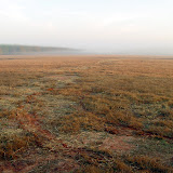 A typical closed landfill requires continuous maintenance. Here the area in the foreground has been reseeded and mulched to maintain an adequate vegetative cover.