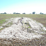 A typical closed landfill requires continuous maintenance. Here bare areas are photographed and reseeding is recommended to the owner. A typical closed landfill requires continuous maintenance. Here bare areas are photographed and reseeding is recommended to the owner.