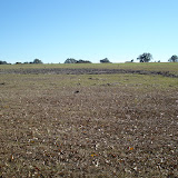A typical closed landfill requires continuous maintenance. Here bare areas are photographed and reseeding is recommended to the owner.