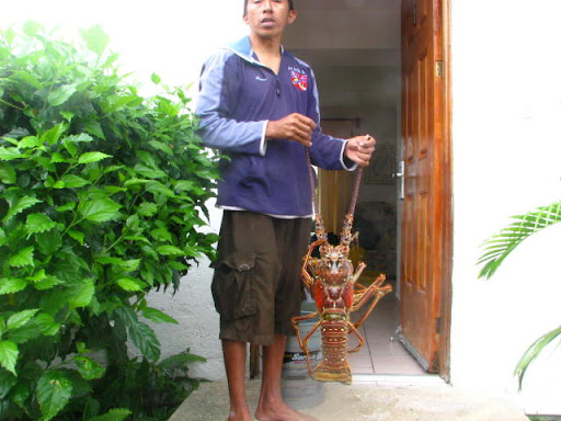 Posted Image