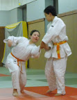  judo