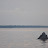 DSC_0434_01.jpg DSC_0434_01.jpg