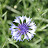 DSC_0563.JPG
