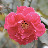 DSC_0319.jpg DSC_0319.jpg