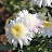 DSC_0503.jpg DSC_0503.jpg