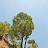 DSC_0757.JPG