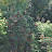 DSC_0043.JPG