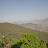 DSC_0798.JPG