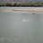 DSC00117.JPG