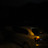 DSC00018.JPG
