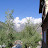 DSC00112.JPG