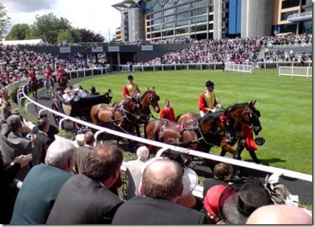 Dubai World Cup - Witness The World’s Richest Horse Race
