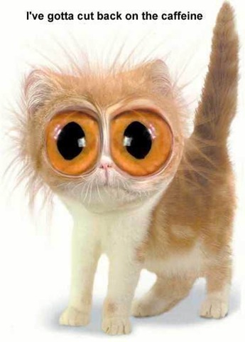 [Caffeine-Kitty[4].jpg]
