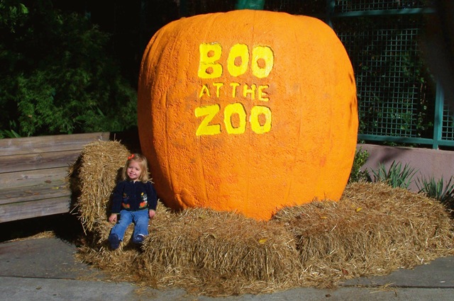 [Zoo Pumpkin[3].jpg]