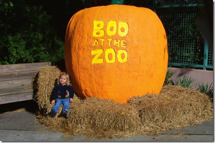 Zoo Pumpkin