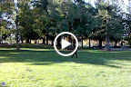Frisbee in Questa Park