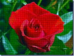 clip_image019