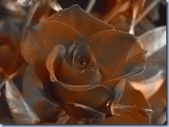 clip_image020