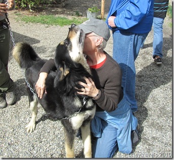 Nancy receives some hugs from Aliusko, a Denali musher