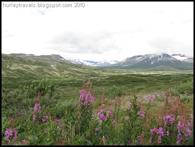 We had our lunch with this scene.  It is the Chilkat Pass, the summit of the Haines Highway, elevation 3,5 10.  The Tlingit natives guarded this pass for thousands of years, living on the land.  The gold rush of 1898 altered that lifestyle, although the people remain. 