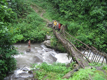 Tree Trunk Bridge