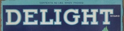[Delight[4].jpg]