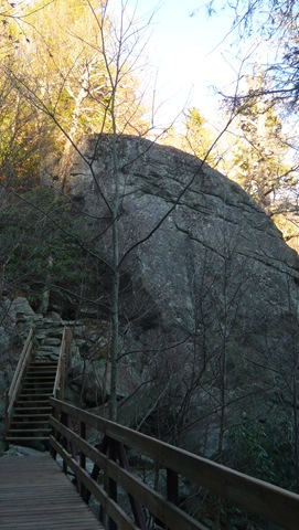 [P1020793[3].jpg]