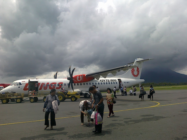 wingsair