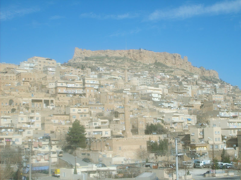 Resim