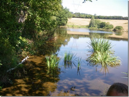 Etang Etang