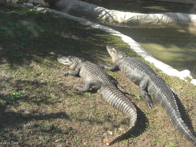 [October 2009 022[7].jpg]