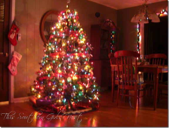 december 2009 015 december 2009 015