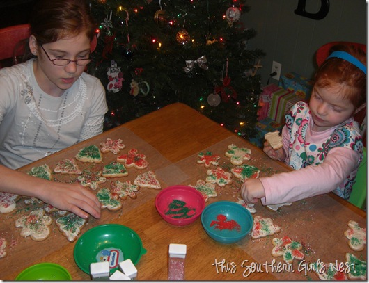 december 2010 012 december 2010 012
