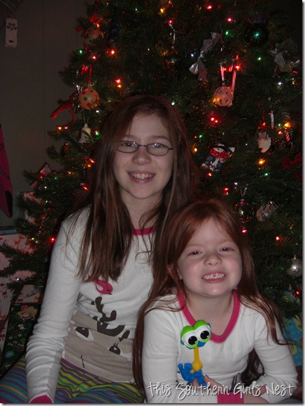 december 2010 008 december 2010 008