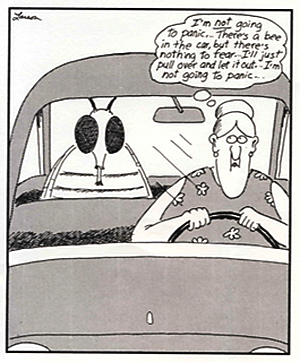 Cartoon Bee Trail