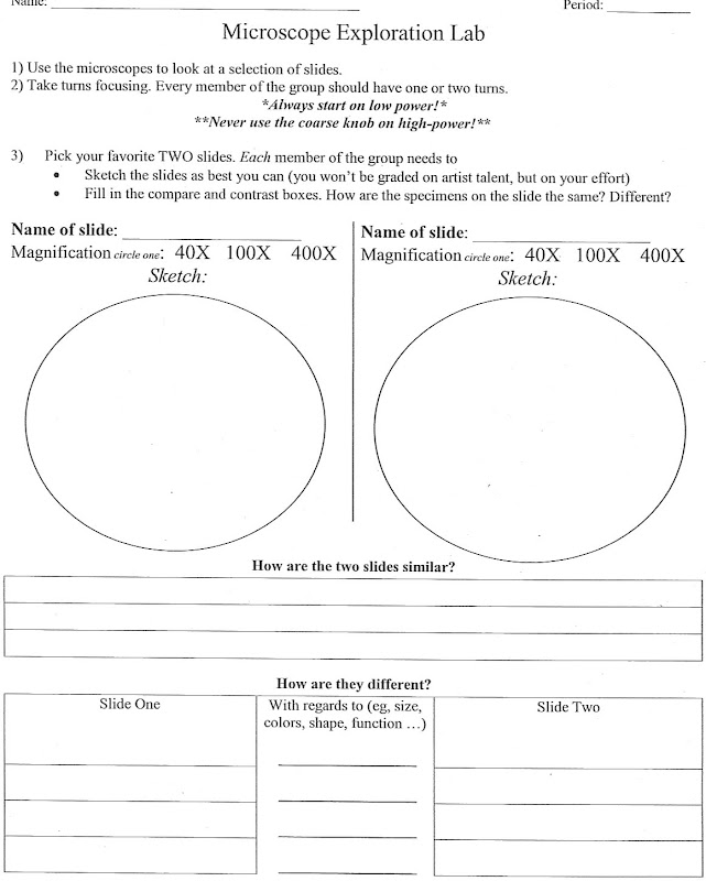 Printables Plant And Animal Cells Worksheet animal cell worksheet abitlikethis cells vs plant cells