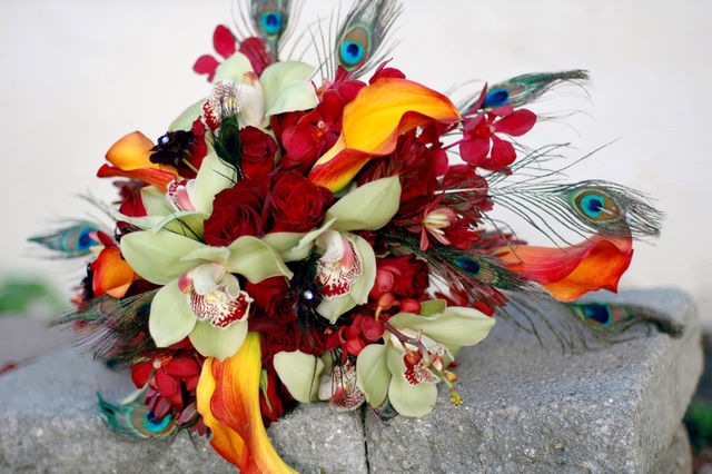 [6a00d8354bd35a53ef010535a67925970b64[1].jpg]