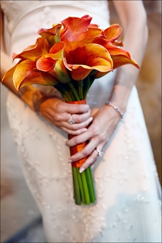 [morlan0296beautifulblooms11.jpg]