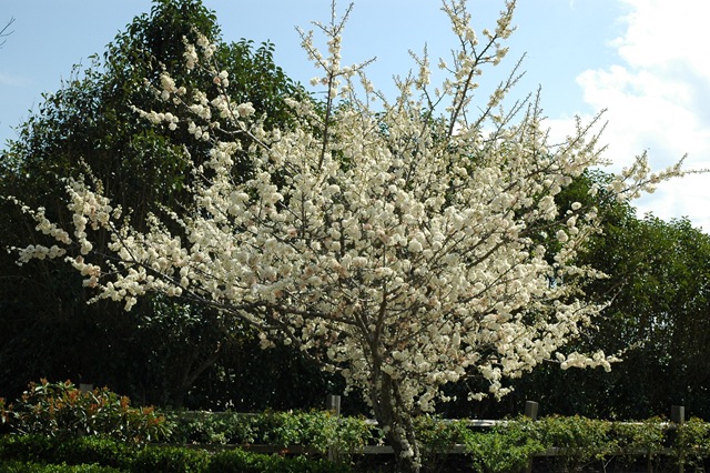 [201003150105.jpg]