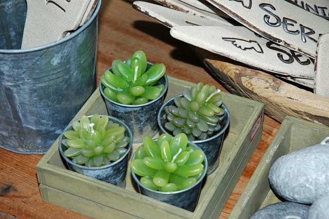[20100315038edit6.jpg]