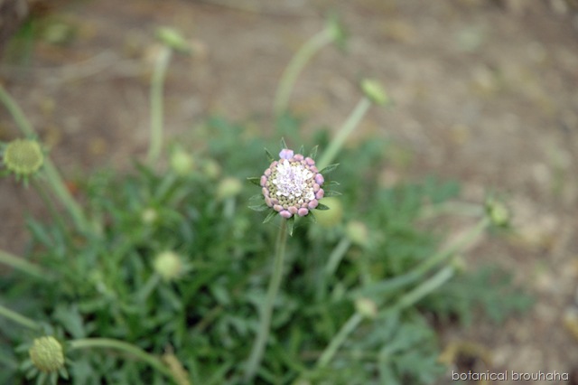 [Picture013edit25.jpg]