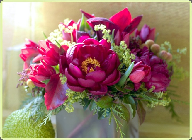 florali_win001 florali