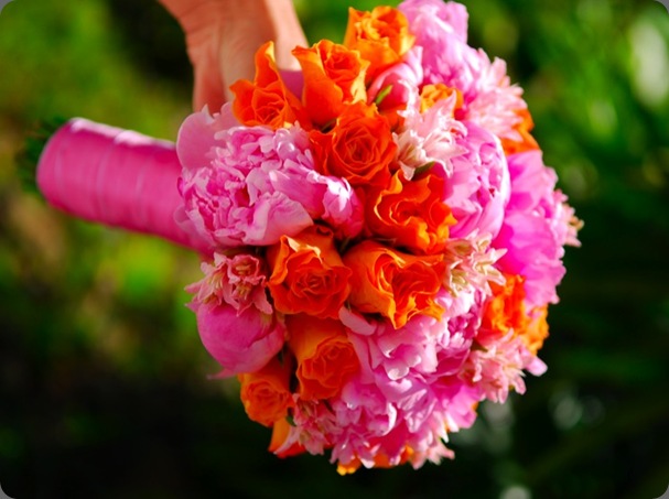 6a010534a9832e970b010536b88cc2970c yvonne design