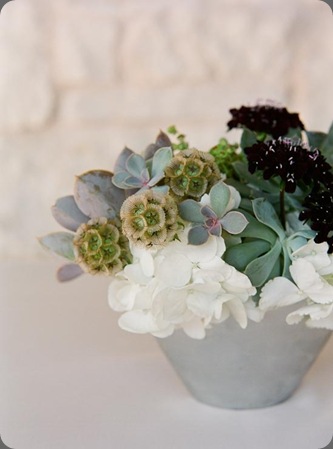 ChelleAdam-0707w rosehip happenings