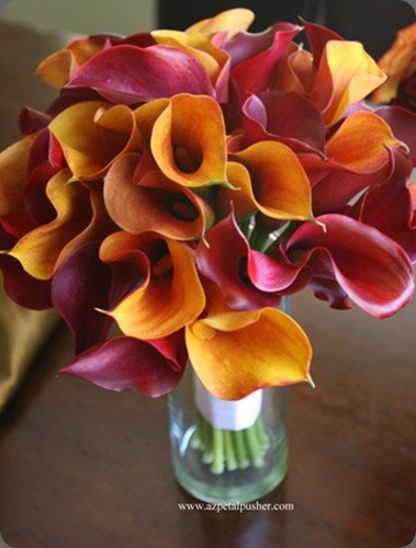 Calla-Bouquet petal pusher