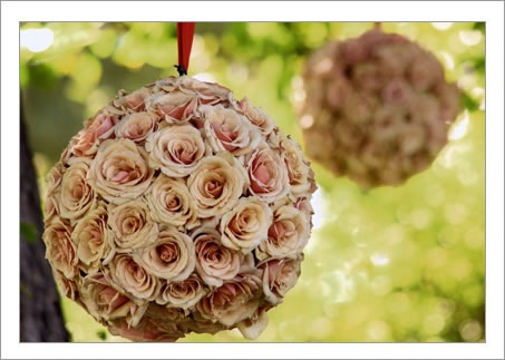 [rose_sphere_closecamillaflowers1.jpg]