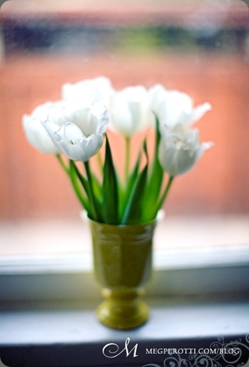 IMG_3257 Meg Perotti Photography