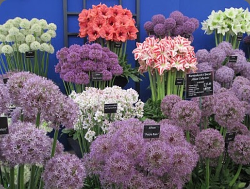 IMG_0366 brabourne farm blog