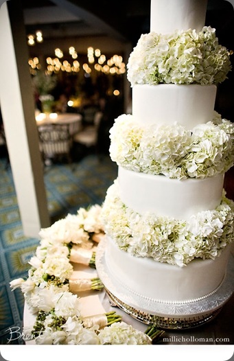 ACF6CB millie holloman